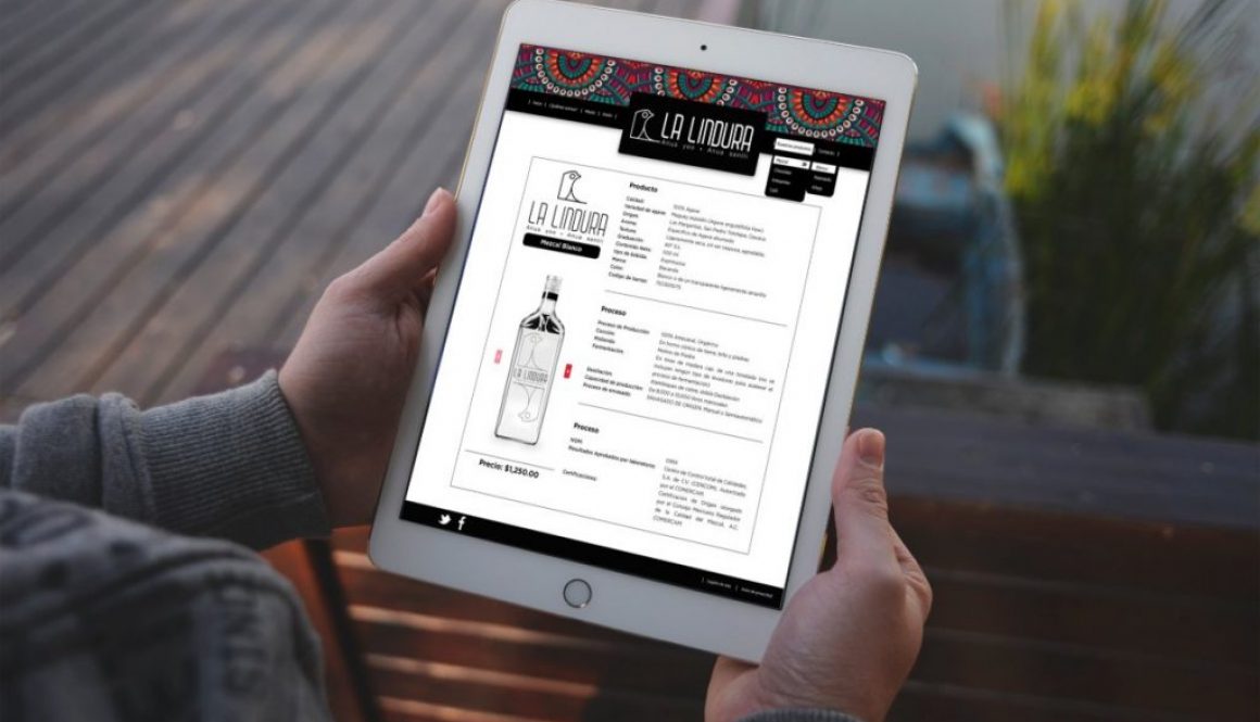 IDENTIDAD-CORPO-LA LINDURA1 (1)